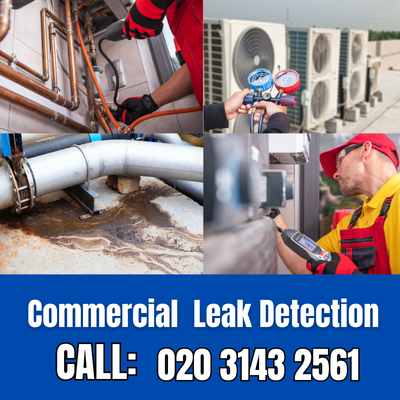 Commercial Leak Detection Services in Cranbrook | Cranbrook Leak Detection