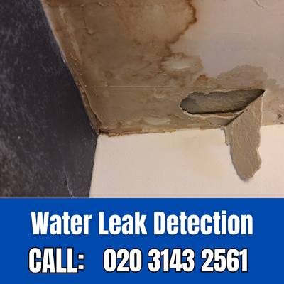 Expert Water Leak Detection Services in Cranbrook | Cranbrook Leak Detection